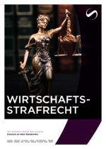 GEMS_BF_2024-04_DE_Wirtschaftsstrafrecht.pdf