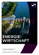 GEMS_BF_2024-04_DE_Energiewirtschaft.pdf